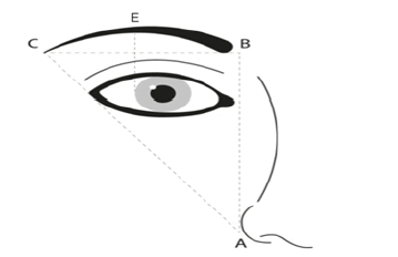 ijocs-eyebrow